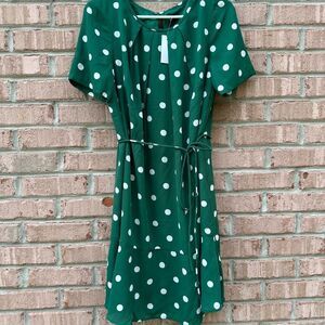 Ann Taylor Green Polka Dot Dress